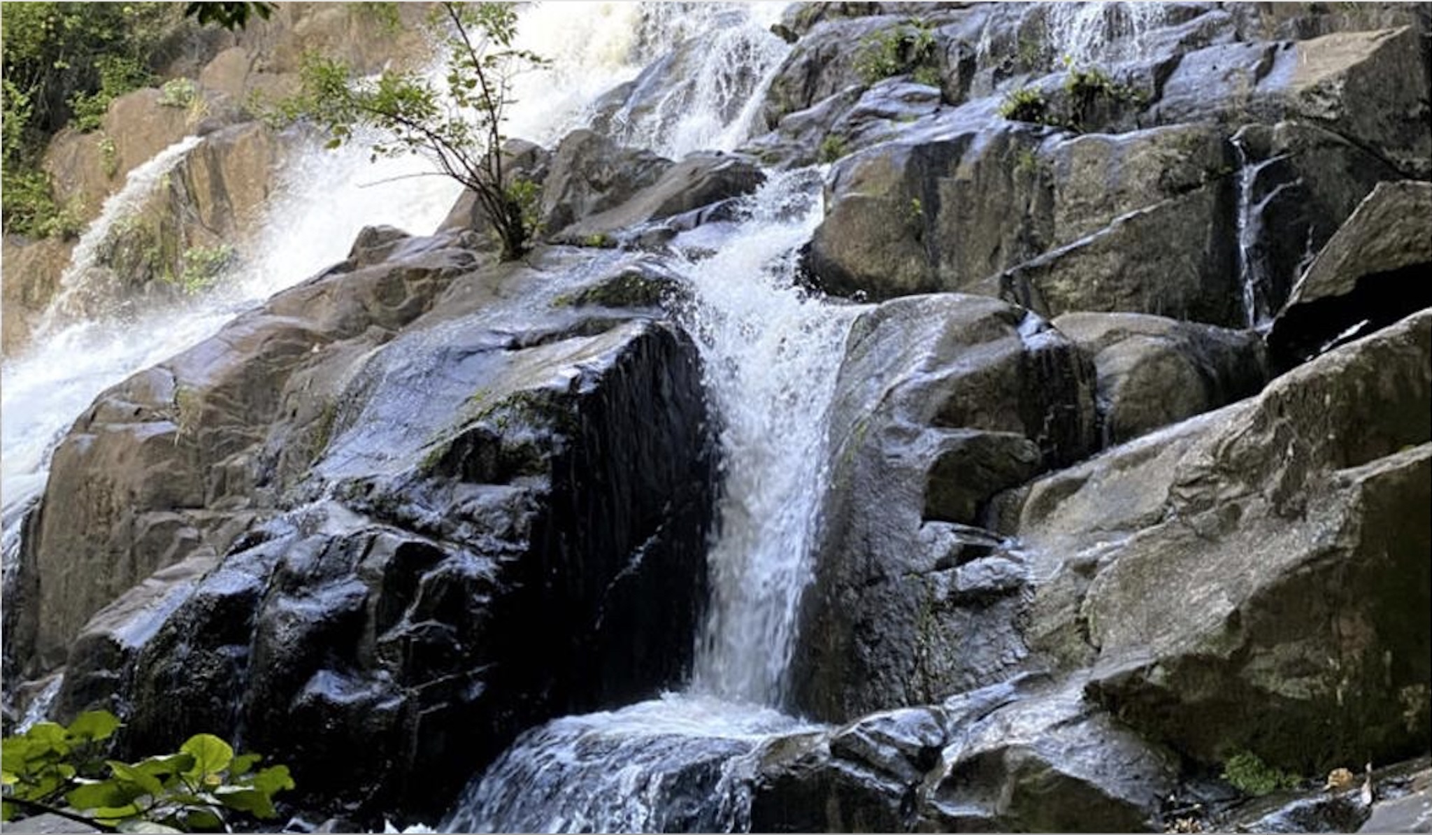 blog-image